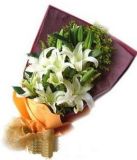 ԣʻٵ